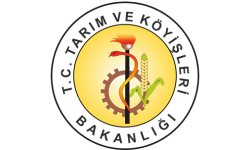 K2M Referans